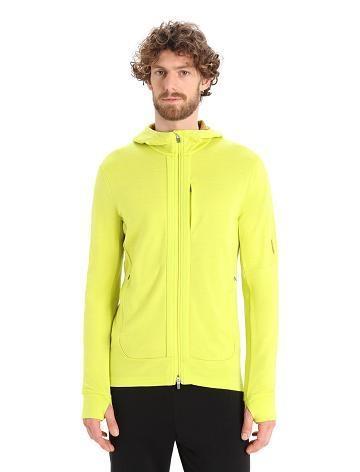 Shine / Clove Men's Icebreaker Merino Quantum III Long Sleeve Zip Hoodie | USA 1267VRWD